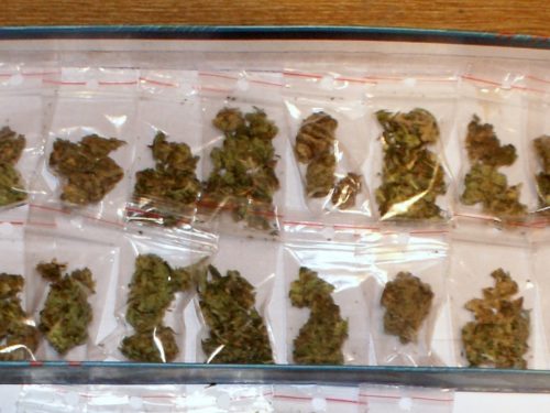 Narkotyki: 6 osób zatrzymanych. Zabezpieczone: marihuana, amfetamina i krzewy konopi