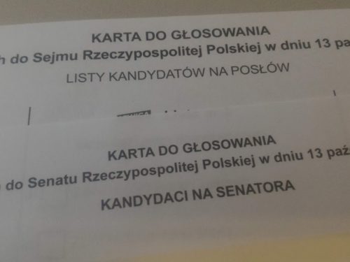 Wyniki wyborów: PiS wygrywa w powiecie rawskim. PSL na drugim miejscu