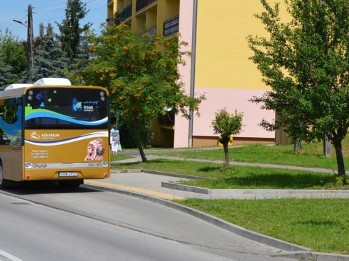 Nowy rozkład komunikacji miejskiej w Rawie Mazowieckiej. Sprawdź