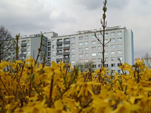 Ceny mieszkań w Łodzi cały czas rosną. Jak będą kształtować się ceny mieszkań w Łodzi w 2021 roku?
