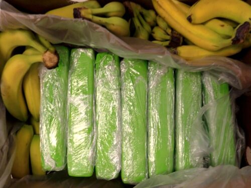 Narkotyki ukryte w bananach pojechały z centrum logistycznego pod Rawą do sklepów w Warszawie