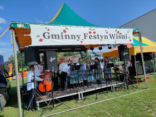 Dobra zabawa i relaks na Gminnym Festynie Wiśni w Regnowie [zdjęcia]