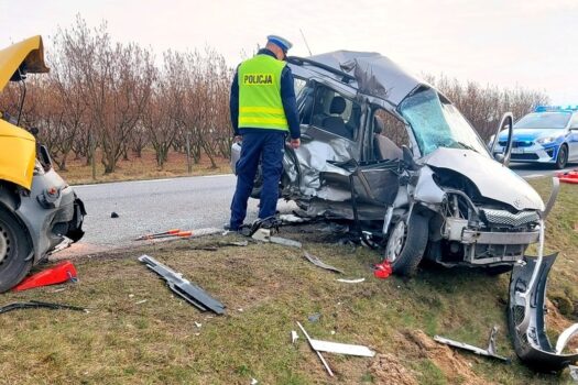Śmiertelny wypadek w Wólce Lesiewskiej. Zginęły dwie osoby – mieszkańcy powiatu rawskiego
