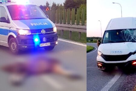 Uważajcie na dzikie zwierzęta. Łoś przebiegał przez trasę S8 w Rawie i uderzył w busa