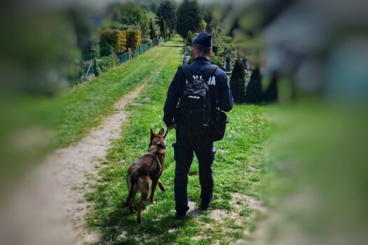 Rawa Mazowiecka: Zaginiony 48-latek odnaleziony przez policję. Finał poszukiwań
