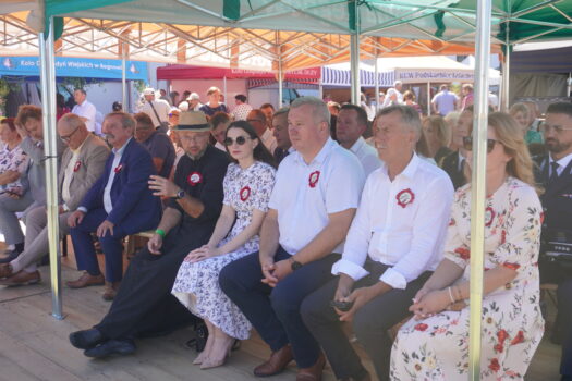 Jubileuszowy X Gminny Festyn Wiśni w Regnowie [zdjęcia + wideo]