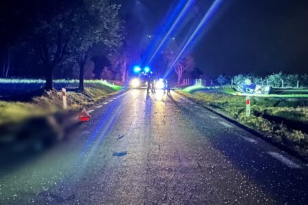 Groźny wypadek na DW 726. Wbiegł łoś, samochód dachował, kierowca w szpitalu