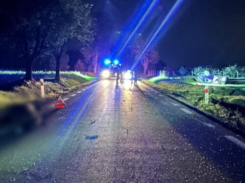 Groźny wypadek na DW 726. Wbiegł łoś, samochód dachował, kierowca w szpitalu