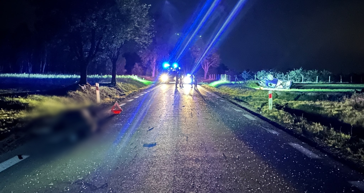 wypadek z łosiem Bogusławki Małe